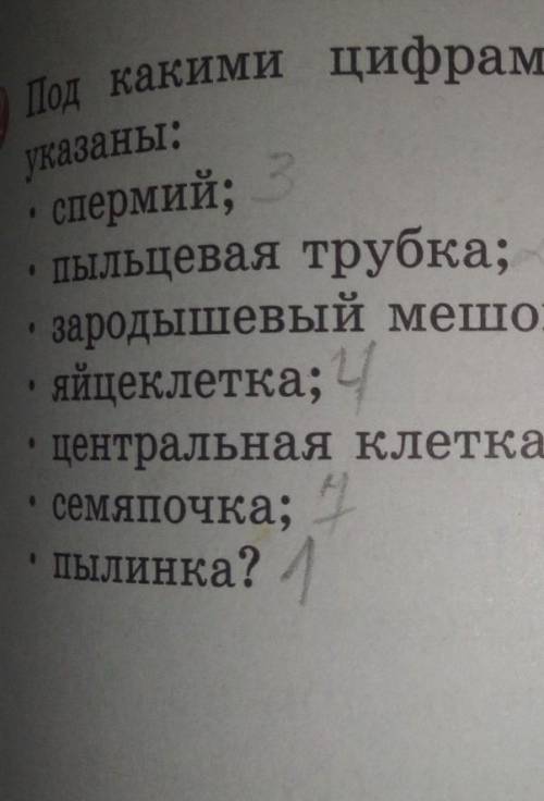 Кому с Биологией Задание: Под какими цифрами на рисунке указаны: