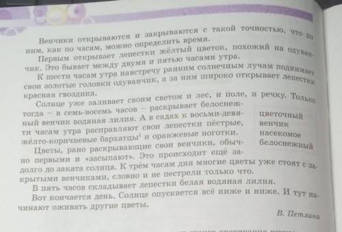 Ещё раз прочитайте текст Цветочник часы и выпишите три предложение или переделайте их таким образом