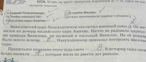 Страница 206 номер 537 А сделайте морфологический разбор существительно
