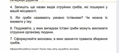 только что бы было правильно ​