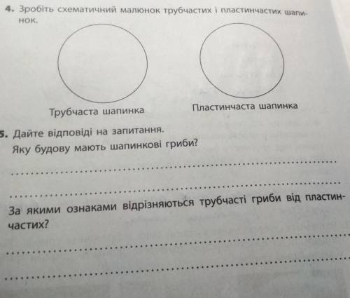 , это лабораторная работа​