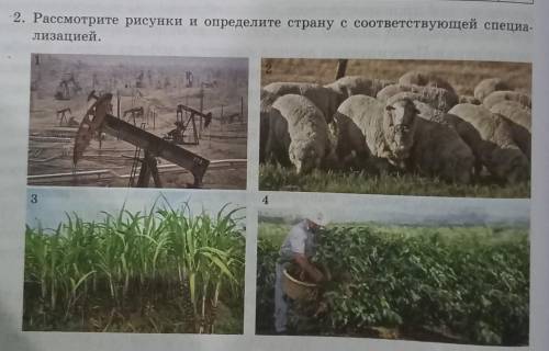 Рассмотрите рисунки и определите страну с соответствующей специа-лизацией.