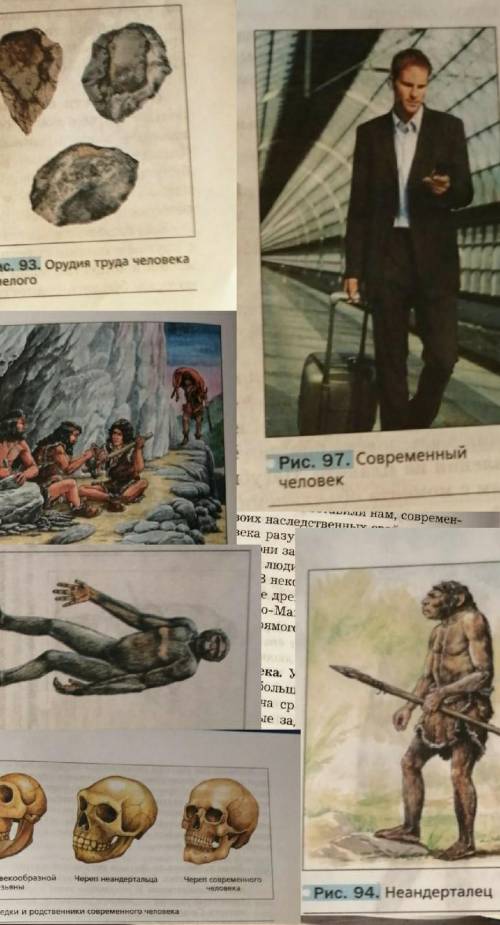 Придумайте рассказ по картинкам