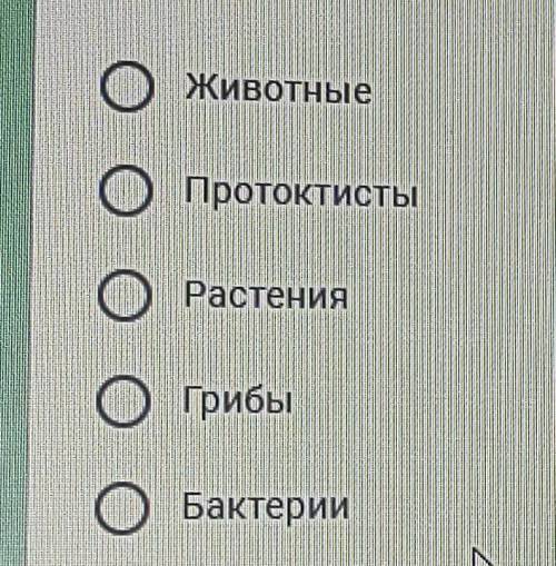 К какому царству относятся ландыш, ковыль, солодка? оЖивотныеоПротоктистыоРастенияОГрибыOБактерии