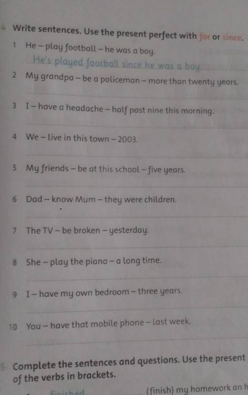 Write sentences.Use the present perfect with for or since