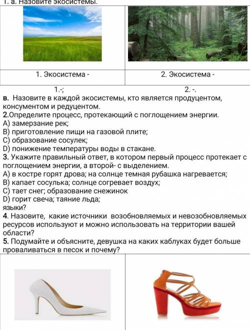 1. а. Назовите экосистемы. 1. Экосистема -2. Экосистема -1.-; 2. -.в. Назовите в каждой экосистемы,