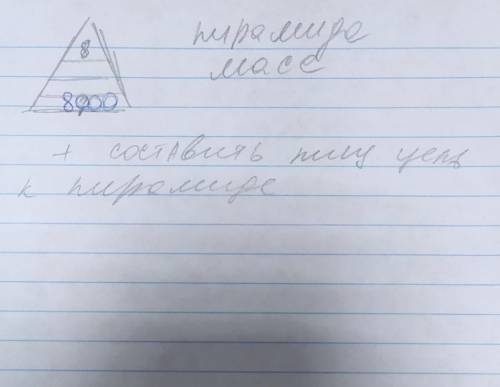 составить пищевую цепь к пирамиде масс