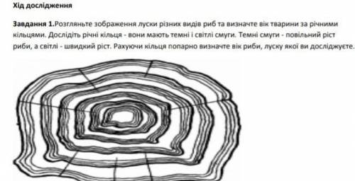 до 14:00 от вас зависит моя оценка