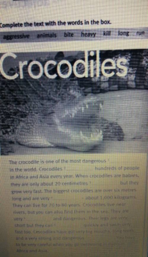 Complete the text with the words in the box. Hl