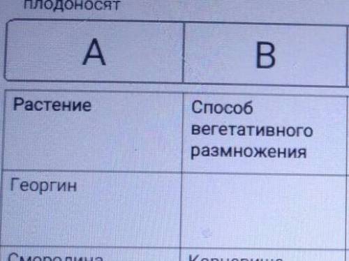 вегетативного размножения георгин