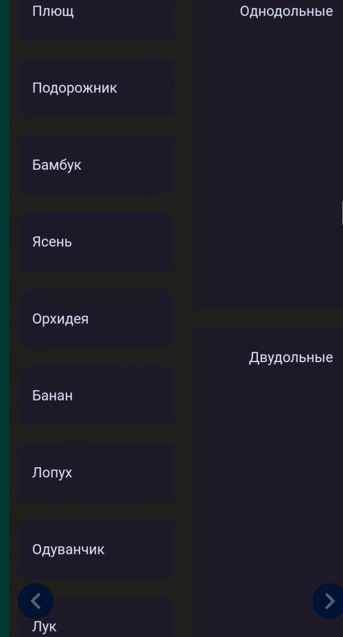 Сопоставьте фотографии листьев с классом, к которому принадлежат эти растения . 