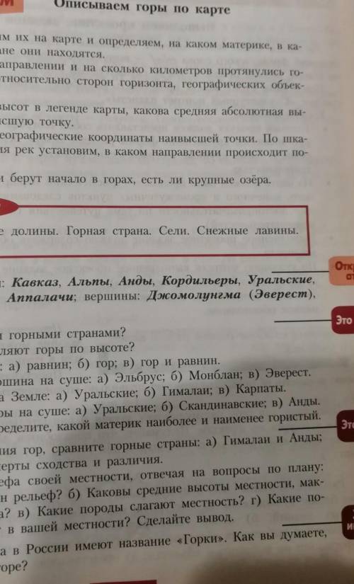 С.81 описать по плану Анды 
