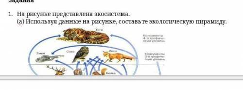 Это сор памагите пажауста 1 задание