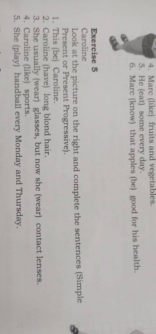 Look at the picture on the rigth and complete the sentences 