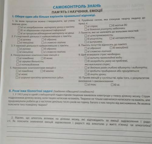 ответьте на вопросы умоляю