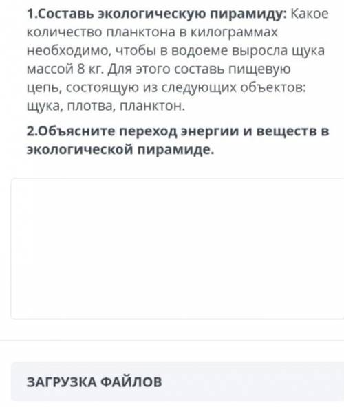 1.Составь экологическую пирамиду: Какое количество планктона в килограммах необходимо, чтобы в водое
