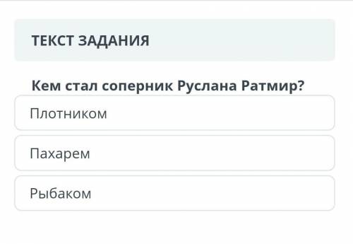 Сор по русской литературе