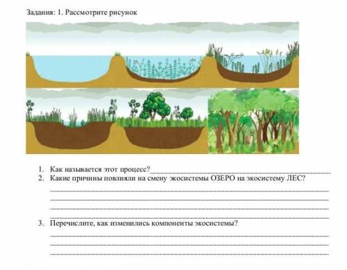 это сор по естествознанию 6 класс