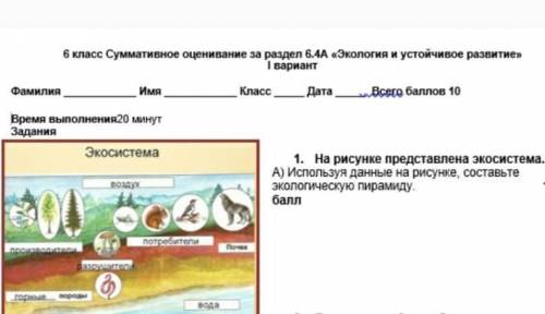 на рисунке представлена экосистема. используя данные на рисунке, сочтавьте экологическую пирамиду. ​