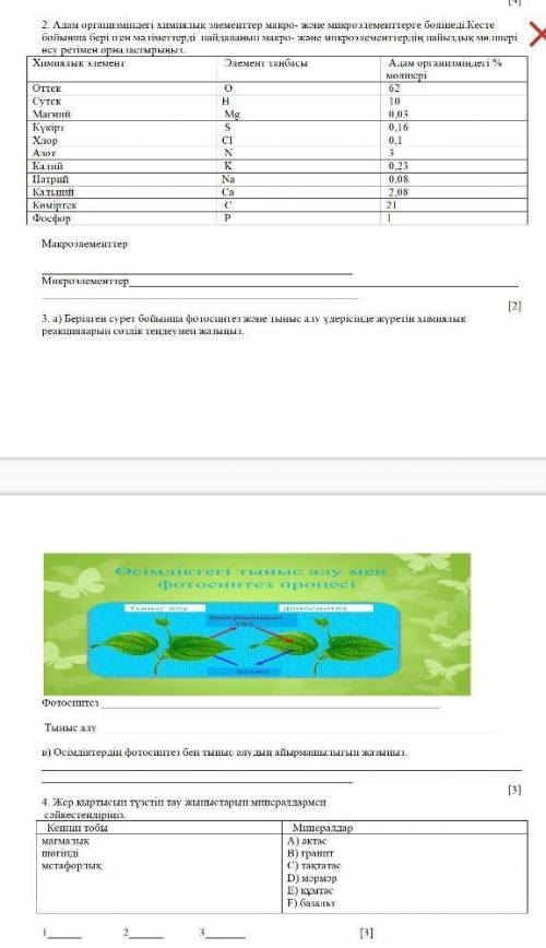 дам до 19:00 нкжно сделать