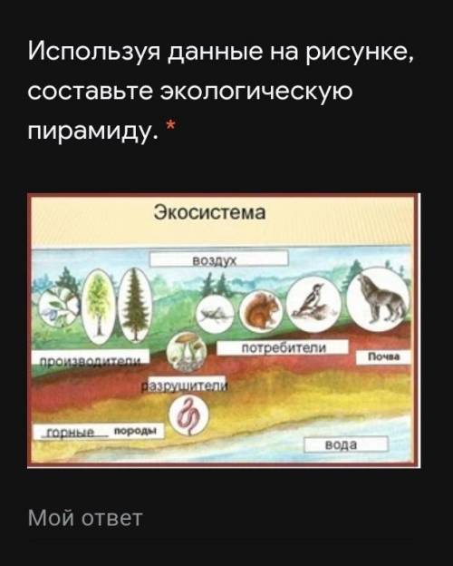 Составьте экологическую пирамиду 