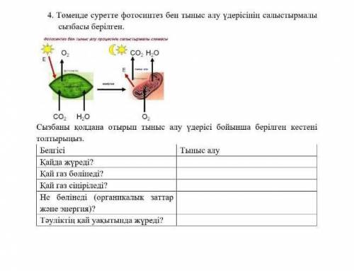 ,химия 7 класс 4 четверть 
