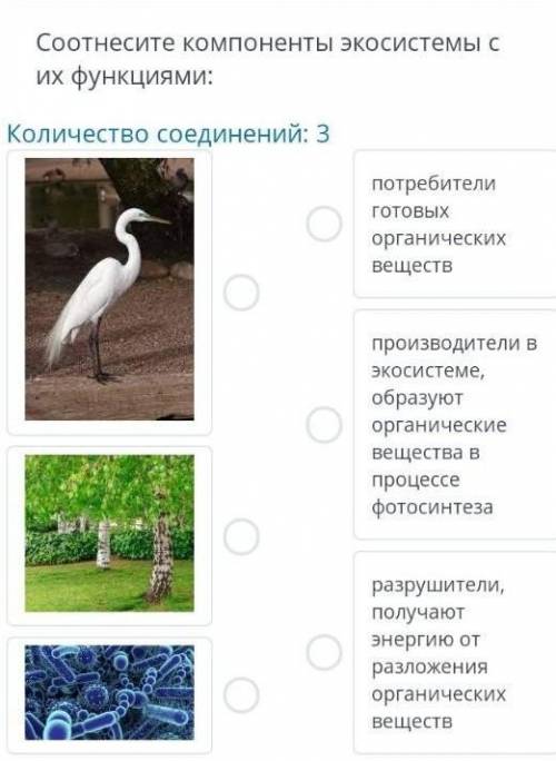 Соотнесите компоненты экосистем с из функциями 
