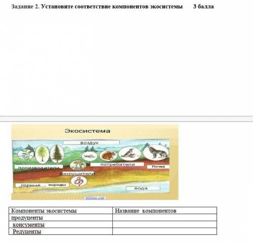 Задание 2. Установите соответствие компонентов экосистемы
