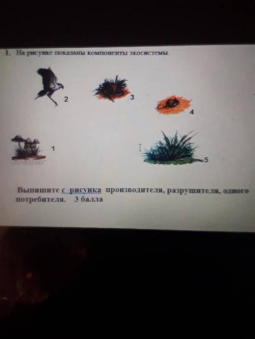 1. На рисунке показаны компоненты экосистемы 324I75Выпишите с рисунка производителя, разрушителя, оп