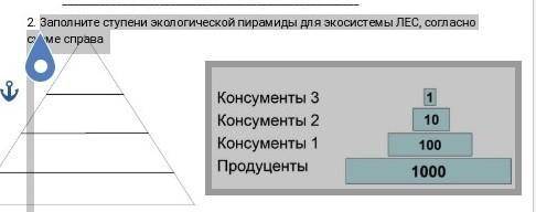 Заполните ступени экологической пирамиды для экосистемы ЛЕС, согласно схеме справа