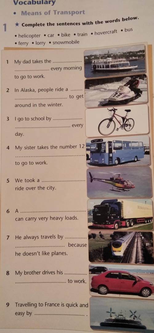 Complete the sentences with the words below