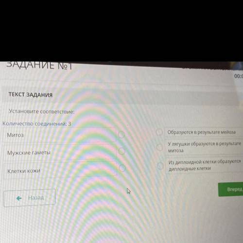 Установите соответствие///