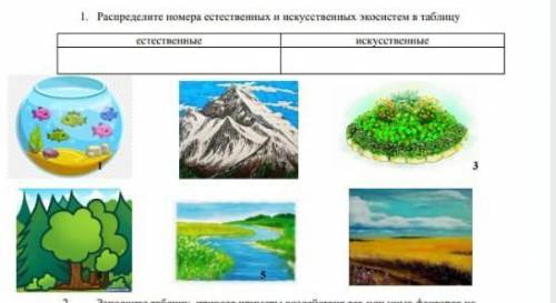 Разделите номера естественных и искусственных экосистем в таблицу 