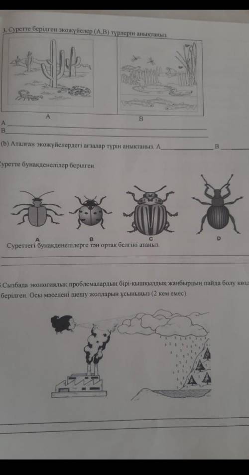 Суретте берілген экожүйелер (A;B) 