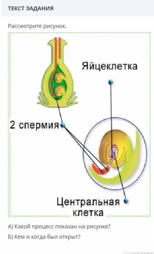 Рассмотрите рисунок а) какой процесс показан на рисунке ? б) кем и когда был открыт? УМАЛЯЮ 