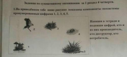 это естествознание пятый класс сор,очень нужно