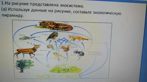 На рисунке представленна экосистема, (а) Исплльзуя данные на рисунке ​