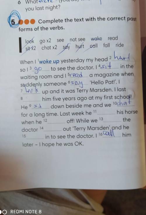 Complete the text with the correct past formsb