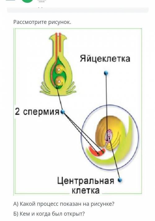 ЗАДАНИЕ №5 ВРЕМЯ НА ВЫПОЛНЕНИЕ:00:00ТЕКСТ ЗАДАНИЯРассмотрите рисунок.А) Какой процесс показан на ри