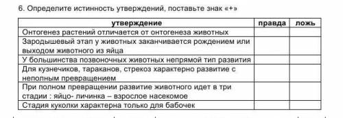 Определите истинность утверждений, поставьте знак «+»​