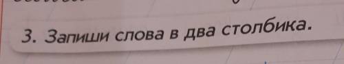 3. Запиши слова в два столбика.