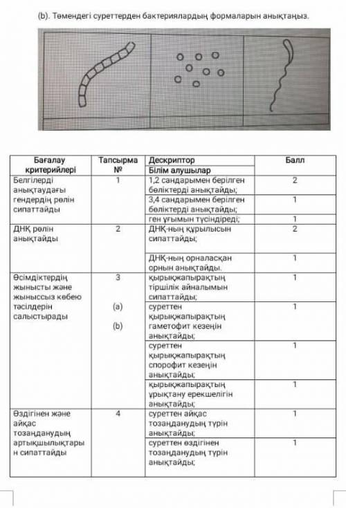 1b.ген угымын тусиндиру 2.ДНК-нын курылысын тусиндиредиДНК-нын орналаскан орнын аныктайды