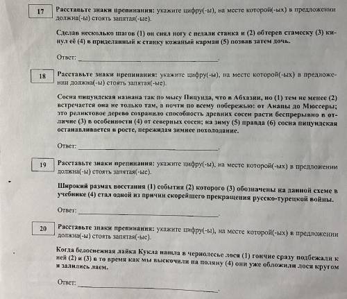 РЕБЯТ УМНОГО ПО РУССКОМУ С ТЕСТОМ