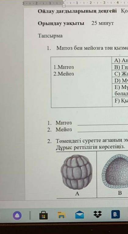 Мүктердін сорпасы митоз ба мейиоз ба