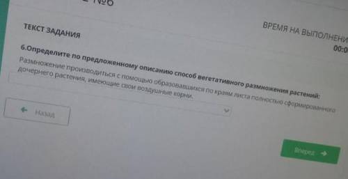 Определите по предложенному описанию вегетативного размножения​