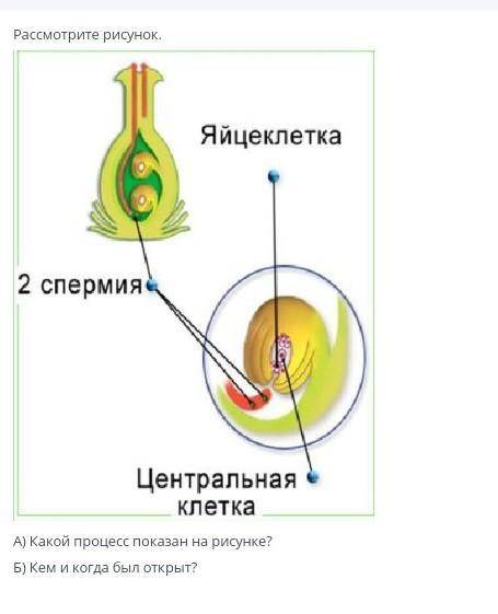 (высеры по типу Даосьдыжчьсдзцдстсдчд хахахаххахах за бесплатные я буду банить)