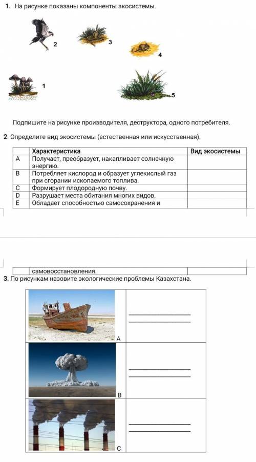 Сор по Ество 5 класс 4 четверть 
