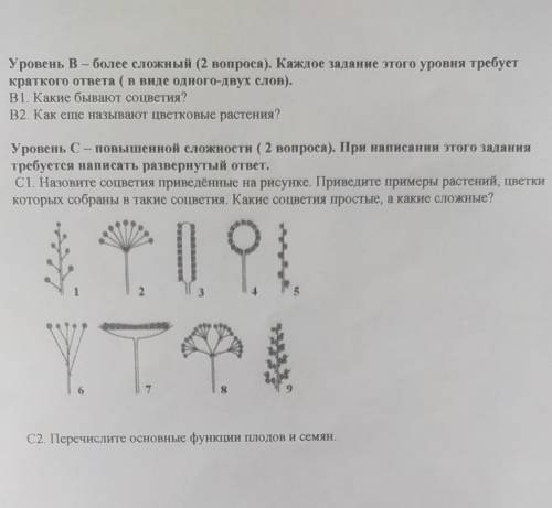 очень чоенчт очеоль чоечгоч 