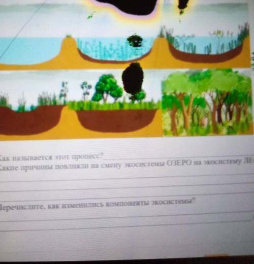 Рассмотрите рисунки, как называется этот процесс? 
