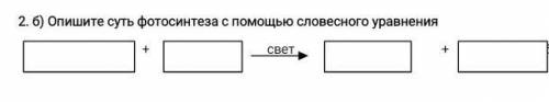 2. б) Опишите суть фотосинтеза с словесного уравнения 